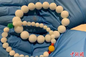 广州海关连续查获两起违规携带砗磲制品入境案图片