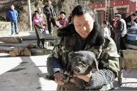 寒冬里，170头免费猪仔暖了汶川红旗村群众心图片