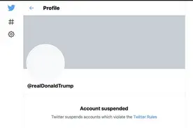 “140个字的海明威”之盛与衰：特朗普与推特的11年图片