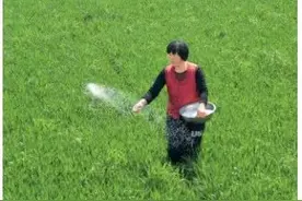 「记得」新中国大化肥诞生记图片