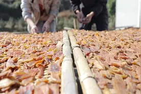 江西兴国：倒蒸红薯干 香甜客家味