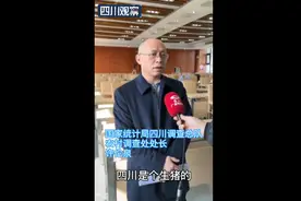 专家解读2020四川民生数据丨生猪产量没达到预期吗？图片