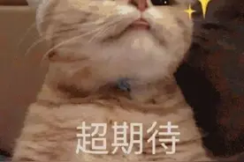 文艺特长生，39所高中招生启动！可降分录取图片