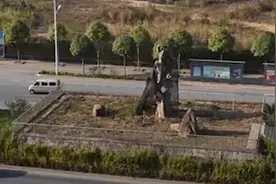 广西403岁“钉子树”死亡，曾为它更改城市道路规划