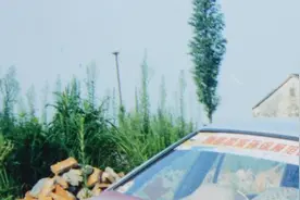 杭州公安：的哥20年前被劫杀，凶手化身保安潜逃哈尔滨被抓视频封面