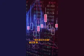 中国财富报道|半导体基金王者归来，霸屏收益榜！这家公司最新发声：光刻机已到货！视频封面