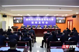 郴州市扫黑除恶成效显著：共侦办174个涉黑涉恶团伙图片