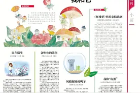 奇妙的动物世界 给孩子带来温暖和启迪图片