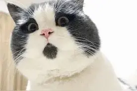 唯有美食不可辜负？280斤女子无奈手术图片