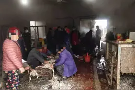 工业松香脱鸭毛，定远公安捣毁两处“黑作坊”图片
