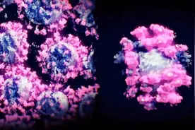 新冠病毒长什么样？首个3D图像曝光视频封面