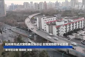 杭州率先试点宠物鼻纹身份证 实现宠物数字化管理