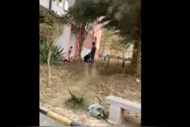 广西母女三人坠亡 警方：母亲有精神病史，近期多次表露自杀倾向图片