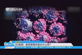 3D高清！新冠病毒究竟长什么样？最新科普影像来了