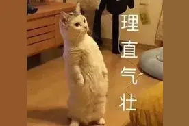 网约车司机拒载，却被判定为无责！只因乘客一个举动图片