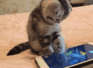 怎么优化内存（手机关掉这个开关）