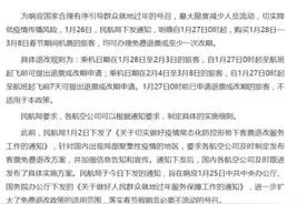 航司客服崩溃了！春运机票退改签是否真的这么急？图片