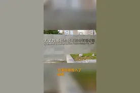 中国财富报道|A股又一大“雷”，一口气亏掉9年净利！“甩锅”华为、荣耀？
