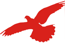 何谓智取华山？图片