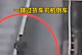 高速上一头猪坠车掉落应急车道上，过路司机倒车捡猪被记12分图片