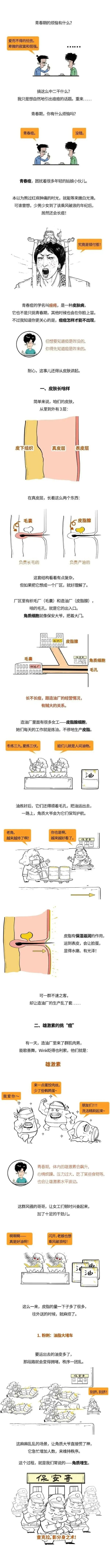 漫画科普：求求你，别“痘”我！