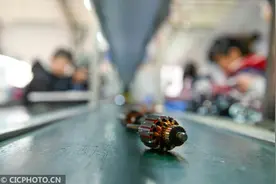 湖南道县：小马达 大产业图片