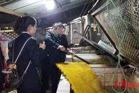 乐山一火锅店用人工养殖鱼冒充“野生黄辣丁”遭罚10万元图片