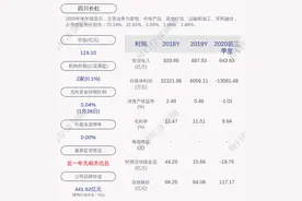 四川长虹：预计2020年度净利润为3600万元到5400万元图片