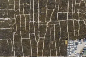 共享电单车也“堆积”，还要吃一遍共享单车“车海战术”的苦？图片