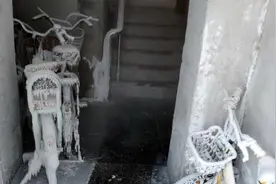 -49.7℃！黑龙江漠河迎50年来最冷一天视频封面
