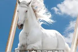 中国财富报道|科技大白马正在开股东大会，突然就跌停了！