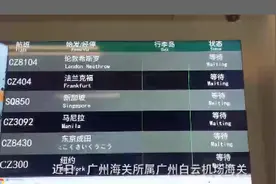 藏不住的“白色秘密”！27件现代象象牙制品被海关查获图片