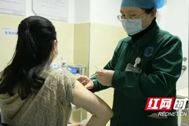 仓鼠会咬人 多名孩子已中招图片