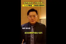 版权阴影下的“人人字幕组”，纵然有粉丝“为爱发电”，终难逃法律审判图片