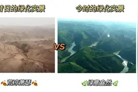 开飞机去播种！他们在沙漠创造奇迹图片