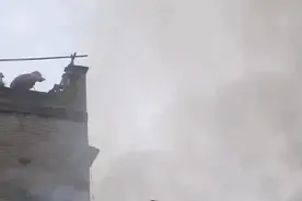 “硬核灭火”奶奶被狂赞！后续来了图片