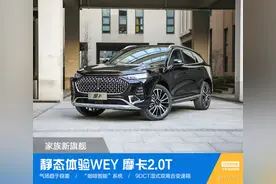 轴长超2米9，搭2.0T，抢先实拍长城最新旗舰SUV，这回放大招了图片
