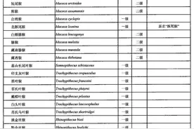 国家重点保护野生动物名录调整，快来看看谁升级了图片