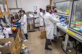 还记得元素周期表上的第99号元素么？科学家首次研究出其特性图片