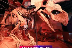 有声科普 | 恐龙时代的天气和现在一样吗？图片