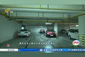 买新能源车安充电桩遇难,手拿政府文件物业却拒不配合:旁边公园有视频封面