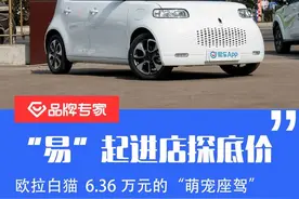 "易"起进店探底价 欧拉白猫  6.36万的“萌宠座驾”图片