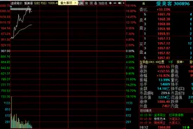 两市第三只千元股！“女人的茅台”再度狂飙19%，上市不到半年已涨8倍！毛利率高得吓人...图片