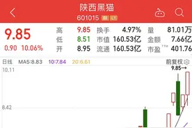 清仓减持！面对股价飙涨的陕西黑猫，一大股东突然说“再见”图片