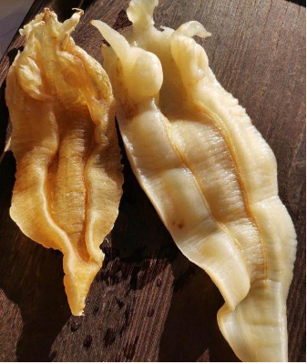 花胶每次用量 2026年花胶每次食用量