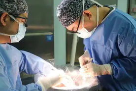 年轻爸爸割肝救子 浙大二院肝移植团队给男童带来新生图片