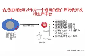 新药研发20年，史家海详解：红细胞技术如何接轨基因治疗等图片