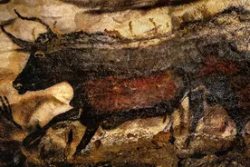 鉴赏｜从万年前的黑牛壁画看到毕加索笔下公牛图片