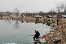 就地过年春在身边｜大年初三，济南龙湖湿地钓鱼的人真不少图片