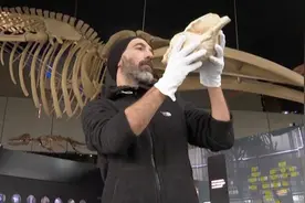 来自18000年前的螺号声！世界“最古老乐器”被再度吹响视频封面